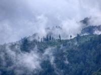 Wolkenfetzen und schemenhafte Bäume am Berghang